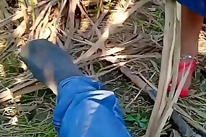 Indian village bhabhi fucking alfresco